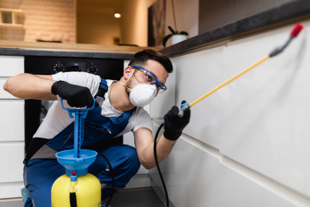 Best Best Pest Control Companies  in Josephine, TX