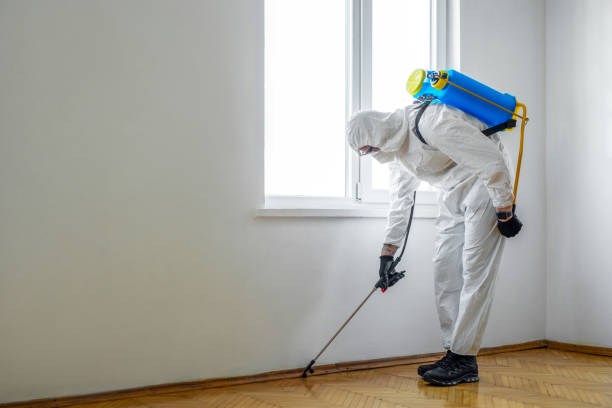 Best Pest Removal Services  in Josephine, TX